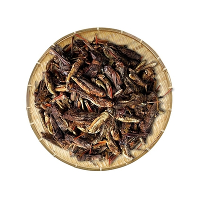 طعام الجراد/طعام الطيور/طعام الحيوانات المجفف